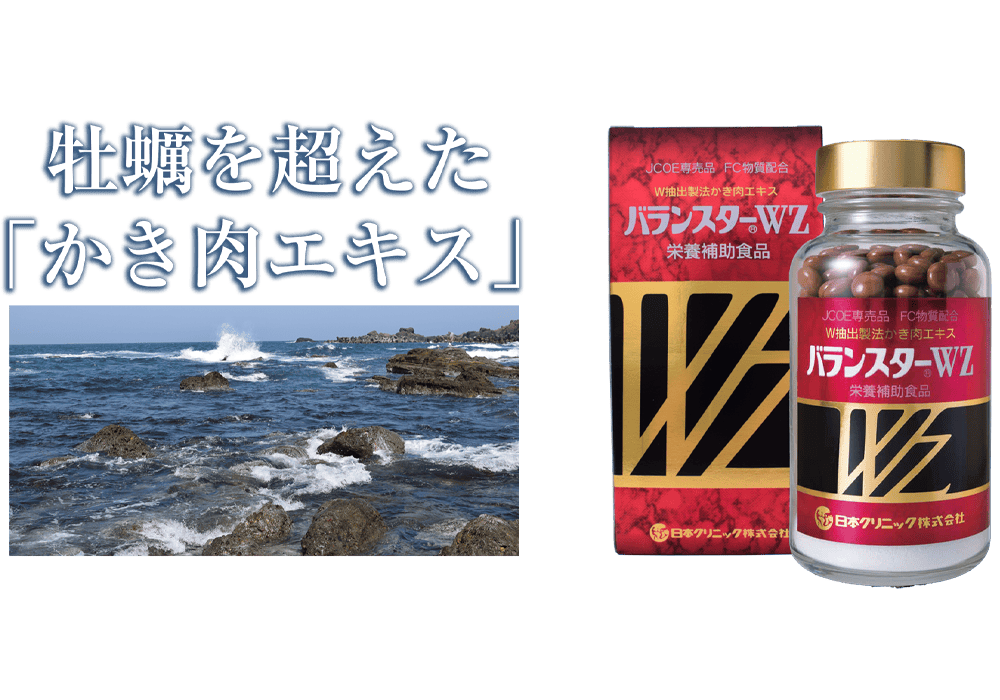 バランスターWZ